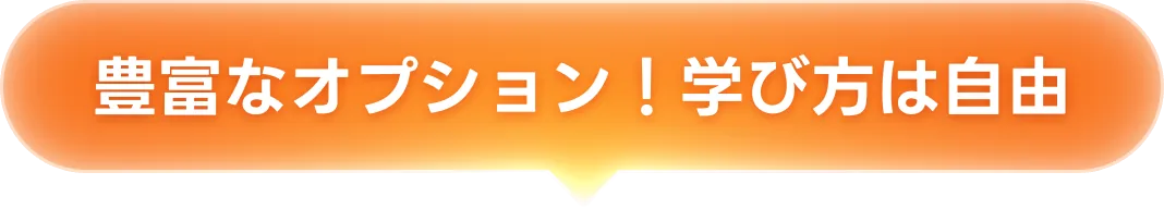 豊富なオプション！学び方は自由