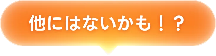 他にはないかも